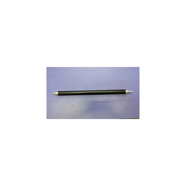 DEVELOPER MAGNETIC ROLLER...