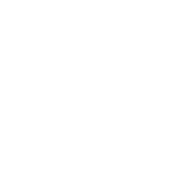 icon contact